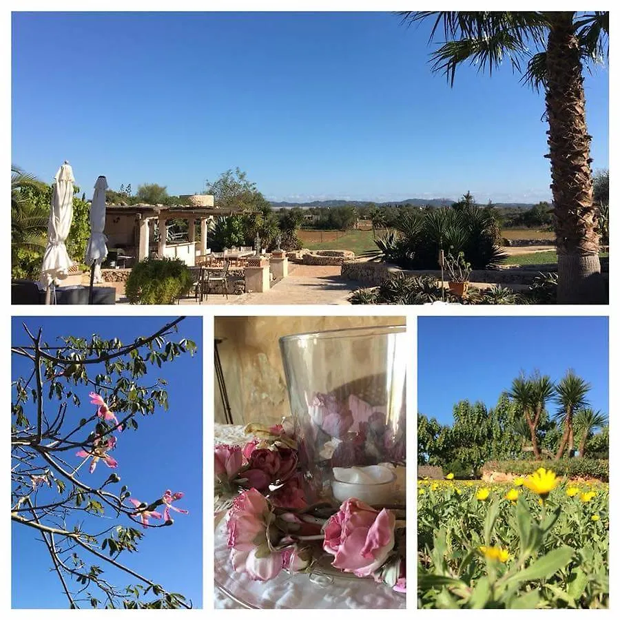 Bed and Breakfast Hacienda D'Armando Felanitx 0*,